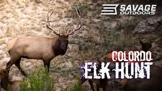 ELK Hunting COLORADO!!