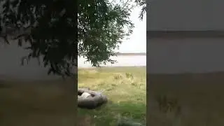 ташаткуль нас порадовал.