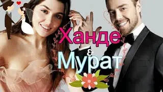 Свадьба! Ханде Эрчел и Мурат Далкылыч скоро поженятся. 