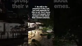 Trust In The Lord | @WatchMo