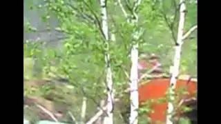 Жестокая тропа тяжёлого дня