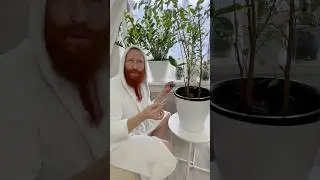 Редкий вид грибов