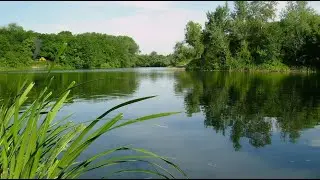 Северский Донец. Видео В. Милинец.