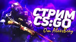 Стрим || По CS GO|| Поговорим ||