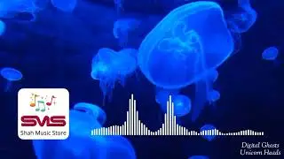 🎵 Digital Ghosts - Unicorn Heads 🎧 No Copyright Music 🎶 YouTube Audio Library 💽 Shah Music Store