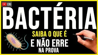 O QUE É UMA BACTÉRIA? Aprenda em 1 minuto! Não Erre Nunca na PROVA! Biologia com Patrick Gomes