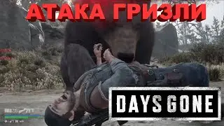 АТАКА ГРИЗЛИ