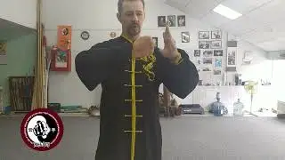 Онлайн обучение винчунь  Урок 1