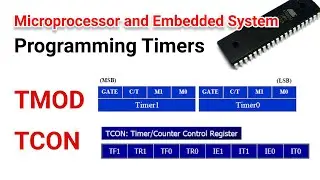 EE309 | Module VI | Class 4 | Programming Timers | TMOD & TCON Register | KTU | EEE | S5
