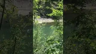 Ловим голавля! Река Псекупс 