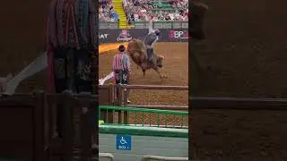 Are Rodeos Worth it?