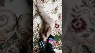 Это мои носки!