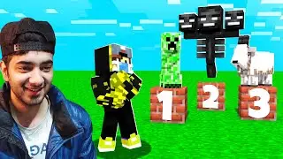 Toughest Challenge in Minecraft....