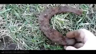 копаю открыл сезон