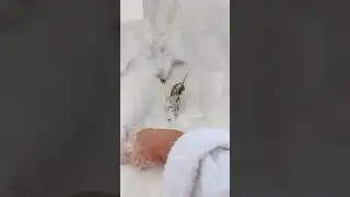 Хранение веников для бани под снегом