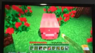Minecraft pt 3