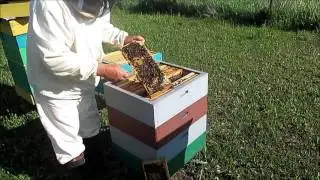 Сборный отводок  ч 1 Формирование
