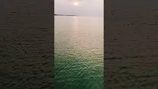 #theoceanview 🧘‍♀️🌊🐚 #ocean #nature #relaxation