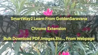 Bulk Download PDF files,Images from Web Pages now easy