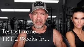 TRT - Testosterone 2 weeks in