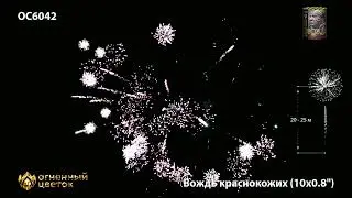 OC6042 Вождь краснокожих  (0,8х10)