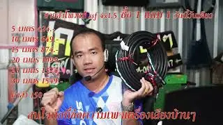 1 แถม 1