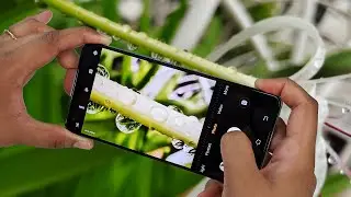 Vivo X50 Camera Test - Best Cameraphone under Rs 35,000