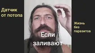 Жизнь без лишник знакомств #свобода #счастье #датчикпотопа