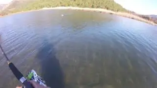 Marmaris at çek levrek avı ispendek wtd su üstü yakala birak
