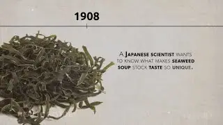 The History of MSG | WebMD