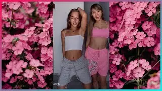 Trakatá #shorts #ariann Farina Music