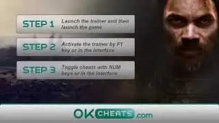 Attila: Total War Cheats for STEAM - a multipurpose trainer