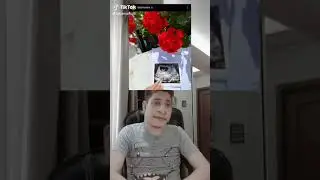 Lana Rhoades Pregnant TikTok Compilation