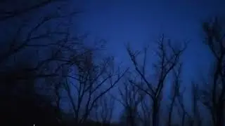 Лермонтов М.Ю. "Пророк"