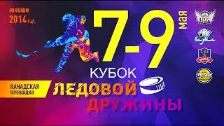 Лучшие забитые шайбы первого игрового дня