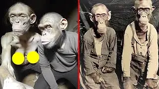 Disturbing Crossbreeding Experiments From Hell