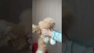 Я КАМЕНЩИК РАБОТАЮ 3 ДНЯ БЕЗ ЗАРПЛАТ 
