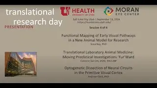 Translational Research Day - Session 4