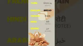 One word in 5 different languages #french #english #tamil #hindi #arabic #language #shorts #bread