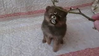 ищем самые хорошие ручки!