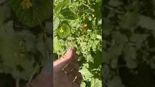 Кто в детстве так делал? ☺️☺️☺️