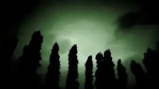 Horror Video