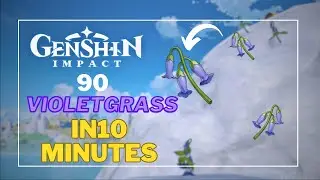 Violetgrass Locations | Violetgrass Genshin Impact | Violetgrass Farming Route | Ascension Material