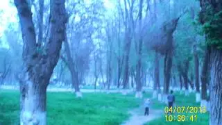 Алмалык  Прогулки по парку Маяковского