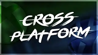 Cross Platform Call of Duty: Xbox Live + PlayStation Network