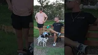 Setting My Dog Up on a Date Prank!