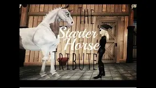 The Starter Horse Tribute || Olivia Lionluck