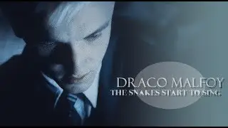 Draco Malfoy | The Snakes Start to Sing
