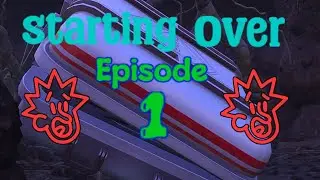 What Have I Gotten Myself Into | WOAH! That's a Big Bug
