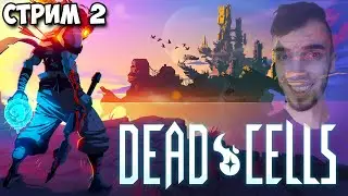 Попытка номер 2 я СМОГ | ГАЙД СПИДРАН + OST ➤ Dead Cells стрим